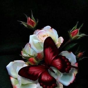 Meet your Posher, Cheryl